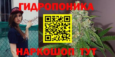 экстази Кандалакша