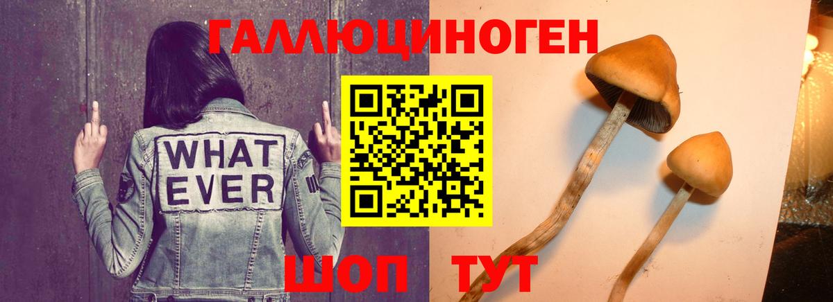 Галлюциногенные грибы мухоморы  Вход с VPN  Ленинск-Кузнецкий  Галлюциногенные грибы GOLDEN TEACHER 